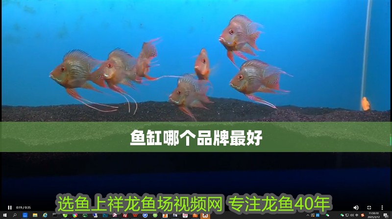 魚缸哪個品牌最好