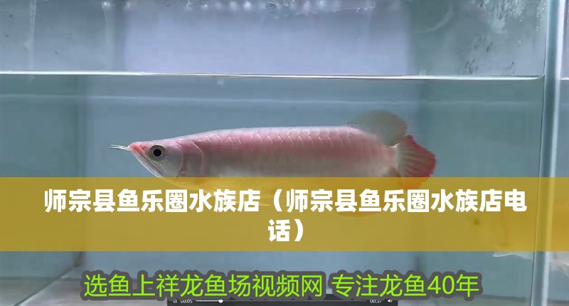 師宗縣魚樂圈水族店（師宗縣魚樂圈水族店電話） 師宗縣魚樂圈水族店（師宗縣魚樂圈水族店電話） 全國(guó)水族館企業(yè)名錄 第1張