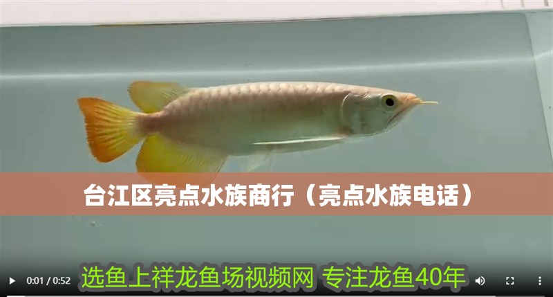 臺江區亮點水族商行（亮點水族電話）