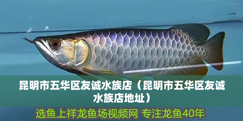 昆明市五華區友誠水族店（昆明市五華區友誠水族店地址）
