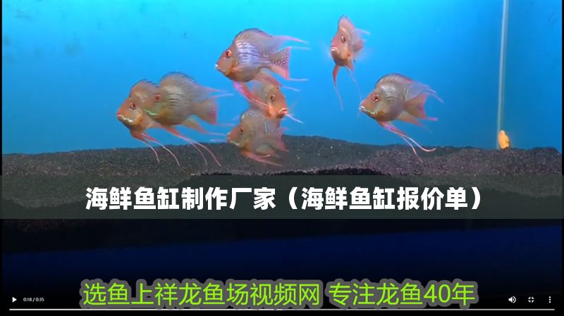 海鮮魚缸制作廠家（海鮮魚缸報價單） 海鮮魚缸制作廠家（海鮮魚缸報價單） 魟魚百科 第1張