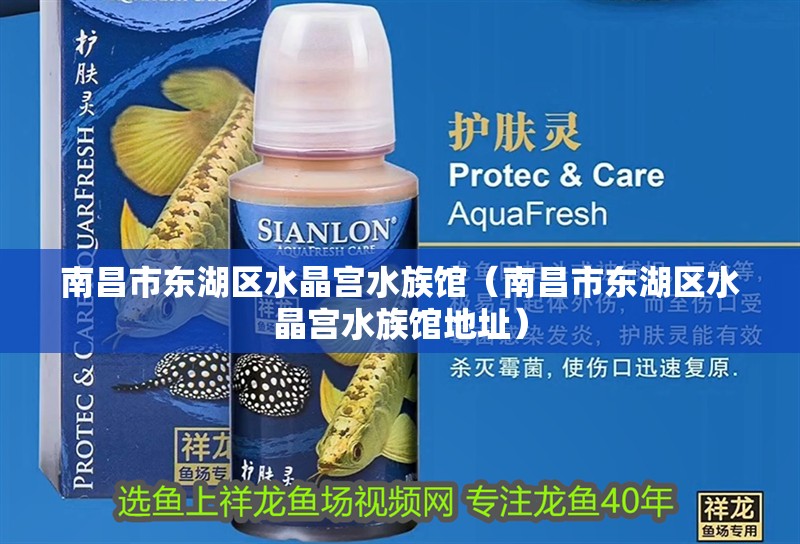 南昌市東湖區水晶宮水族館（南昌市東湖區水晶宮水族館地址） 南昌市東湖區水晶宮水族館（南昌市東湖區水晶宮水族館地址） 全國水族館企業名錄 第1張