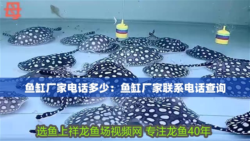 魚缸廠家電話多少：魚缸廠家聯系電話查詢 魚缸廠家電話多少：魚缸廠家聯系電話查詢 魚缸百科