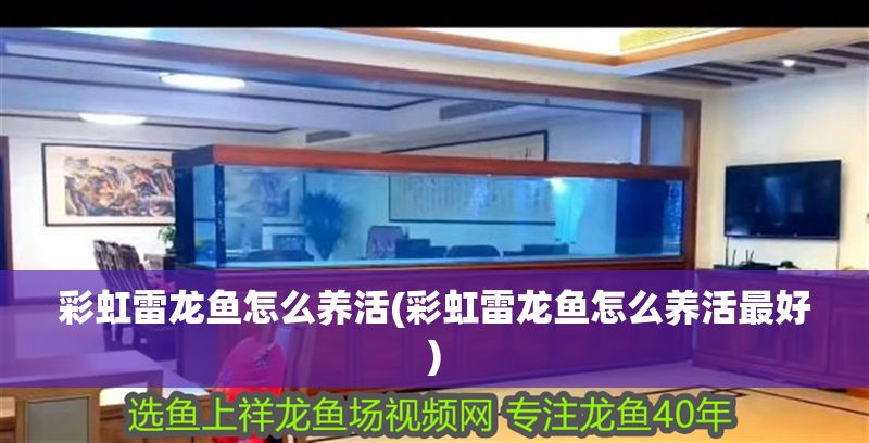 彩虹雷龍魚怎么養活(彩虹雷龍魚怎么養活最好)