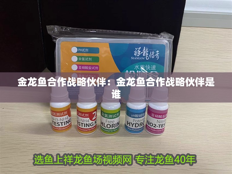 金龍魚合作戰略伙伴：金龍魚合作戰略伙伴是誰