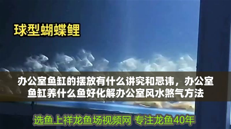 辦公室魚缸的擺放有什么講究和忌諱，辦公室魚缸養什么魚好化解辦公室風水煞氣方法