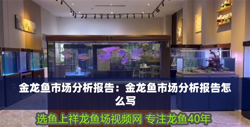 金龍魚市場分析報告：金龍魚市場分析報告怎么寫