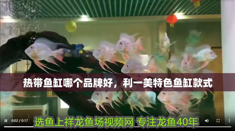 熱帶魚缸哪個(gè)品牌好，利一美特色魚缸款式 熱帶魚缸哪個(gè)品牌好，利一美特色魚缸款式 魚缸百科 第6張