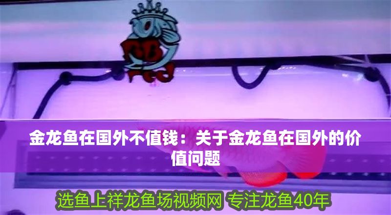 金龍魚在國外不值錢：關(guān)于金龍魚在國外的價值問題