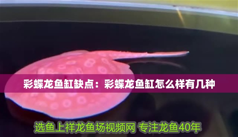彩蝶龍魚缸缺點：彩蝶龍魚缸怎么樣有幾種