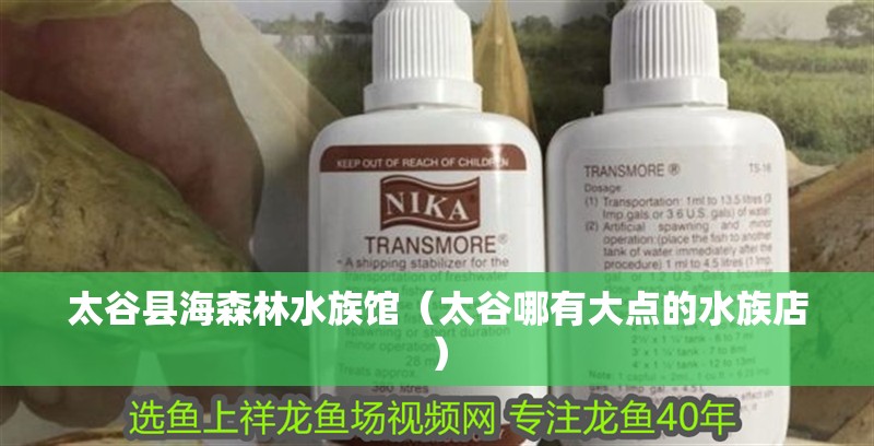 太谷縣海森林水族館（太谷哪有大點(diǎn)的水族店）