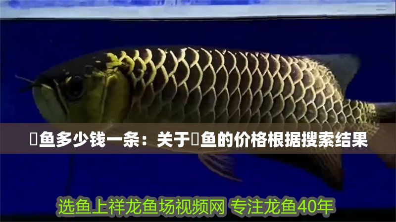 魟魚多少錢一條：關(guān)于魟魚的價(jià)格根據(jù)搜索結(jié)果