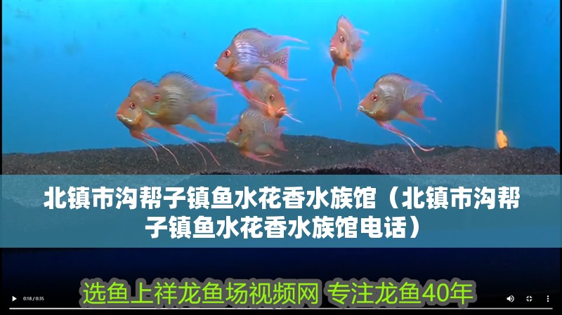 北鎮(zhèn)市溝幫子鎮(zhèn)魚水花香水族館（北鎮(zhèn)市溝幫子鎮(zhèn)魚水花香水族館電話） 北鎮(zhèn)市溝幫子鎮(zhèn)魚水花香水族館（北鎮(zhèn)市溝幫子鎮(zhèn)魚水花香水族館電話） 全國水族館企業(yè)名錄 第1張