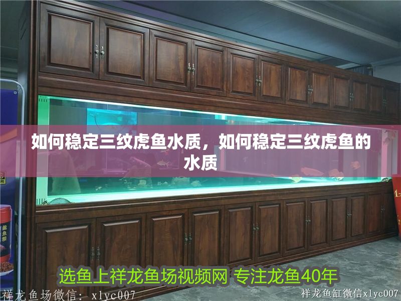 如何穩(wěn)定三紋虎魚水質(zhì)，如何穩(wěn)定三紋虎魚的水質(zhì)