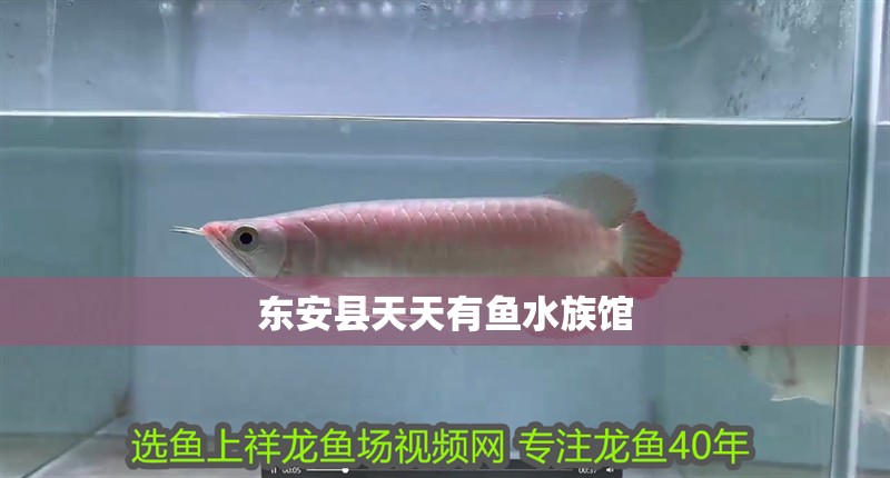 東安縣天天有魚水族館 東安縣天天有魚水族館 全國水族館企業名錄 第2張