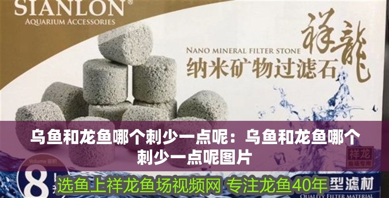 烏魚和龍魚哪個刺少一點呢:烏魚和龍魚哪個刺少一點呢圖片 水族問答 烏魚和龍魚哪個刺少一點呢:烏魚和龍魚哪個刺少一點呢圖片 烏魚和龍魚哪個刺少一點呢:烏魚和龍魚哪個刺少一點呢圖片 水族問答