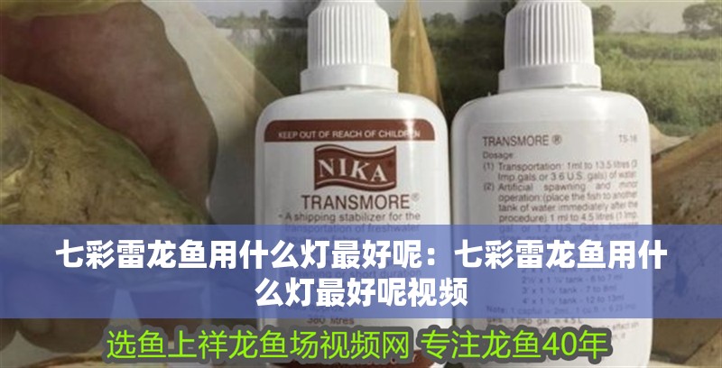 七彩雷龍魚用什么燈最好呢：七彩雷龍魚用什么燈最好呢視頻