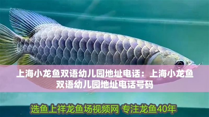 上海小龍魚雙語幼兒園地址電話：上海小龍魚雙語幼兒園地址電話號碼