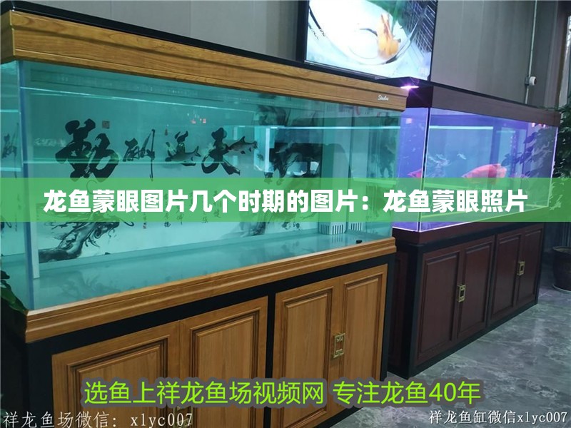 龍魚蒙眼圖片幾個時期的圖片：龍魚蒙眼照片
