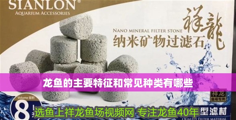 龍魚的主要特征和常見種類有哪些