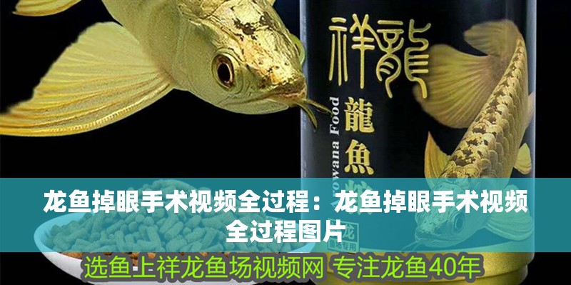 龍魚掉眼手術(shù)視頻全過程：龍魚掉眼手術(shù)視頻全過程圖片