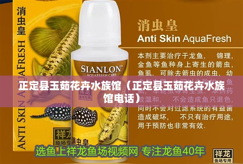 正定縣玉茹花卉水族館（正定縣玉茹花卉水族館電話） 正定縣玉茹花卉水族館（正定縣玉茹花卉水族館電話） 全國水族館企業名錄 第2張