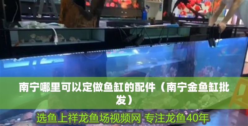 南寧哪里可以定做魚缸的配件（南寧金魚缸批發）