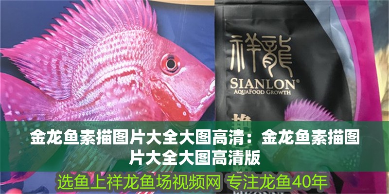 金龍魚素描圖片大全大圖高清：金龍魚素描圖片大全大圖高清版 金龍魚素描圖片大全大圖高清：金龍魚素描圖片大全大圖高清版 水族問答