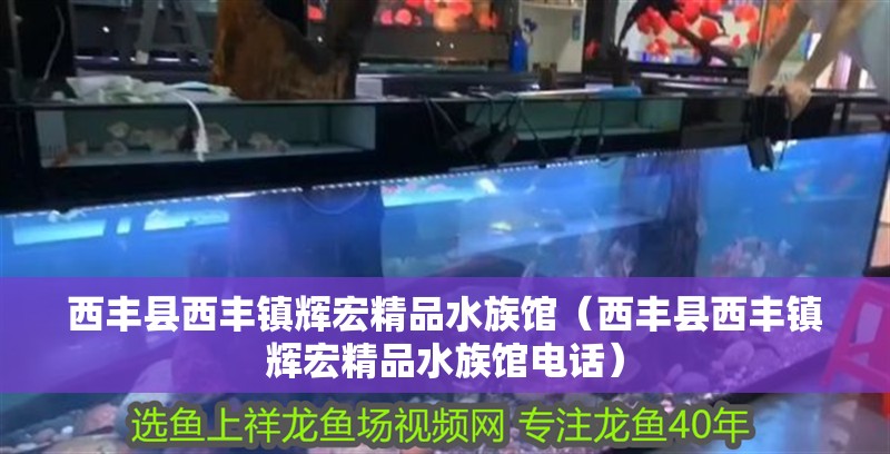 西豐縣西豐鎮輝宏精品水族館（西豐縣西豐鎮輝宏精品水族館電話）