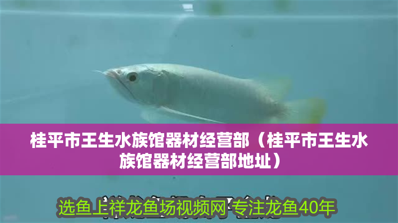 桂平市王生水族館器材經營部（桂平市王生水族館器材經營部地址）