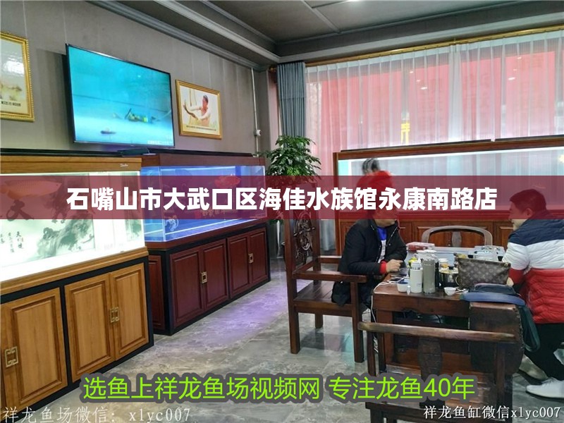 石嘴山市大武口區海佳水族館<strong><mark>永康</mark></strong>南路店
