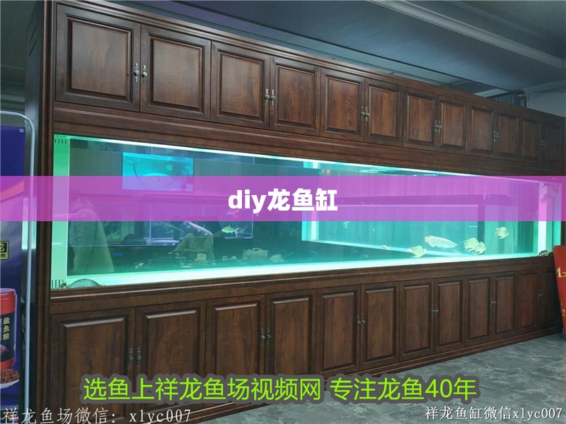 diy龍魚缸