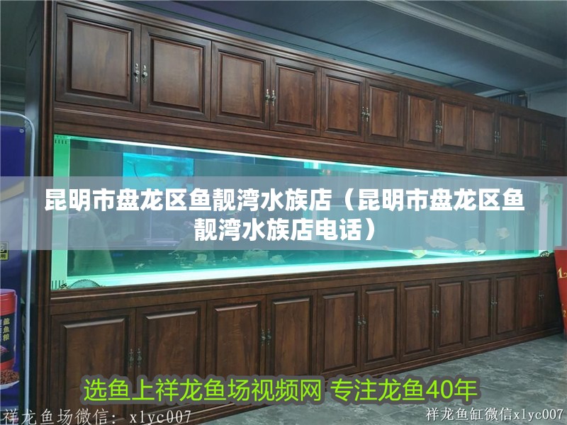 昆明市盤龍區魚靚灣水族店（昆明市盤龍區魚靚灣水族店電話）