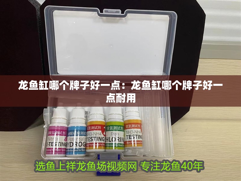 龍魚缸哪個牌子好一點：龍魚缸哪個牌子好一點耐用