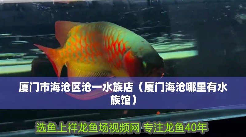 廈門市海滄區(qū)滄一水族店（廈門海滄哪里有水族館）