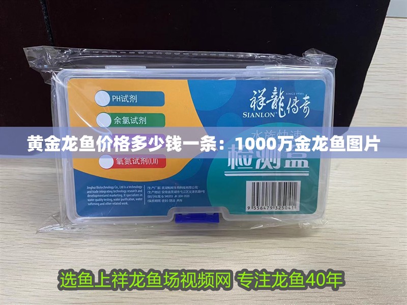 黃金龍魚(yú)價(jià)格多少錢(qián)一條:1000萬(wàn)金龍魚(yú)圖片 水族問(wèn)答 黃金龍魚(yú)價(jià)格多少錢(qián)一條:1000萬(wàn)金龍魚(yú)圖片 黃金龍魚(yú)價(jià)格多少錢(qián)一條:1000萬(wàn)金龍魚(yú)圖片 水族問(wèn)答