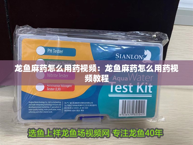 龍魚麻藥怎么用藥視頻：龍魚麻藥怎么用藥視頻教程 龍魚麻藥怎么用藥視頻：龍魚麻藥怎么用藥視頻教程 水族問答