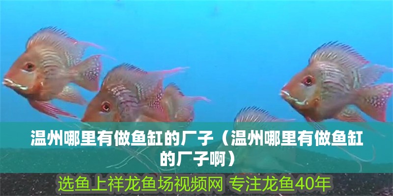 溫州哪里有做魚缸的廠子（溫州哪里有做魚缸的廠子啊）