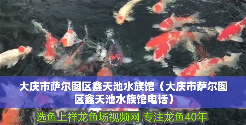 大慶市薩爾圖區鑫天池水族館（大慶市薩爾圖區鑫天池水族館電話） 大慶市薩爾圖區鑫天池水族館（大慶市薩爾圖區鑫天池水族館電話） 全國水族館企業名錄 第1張
