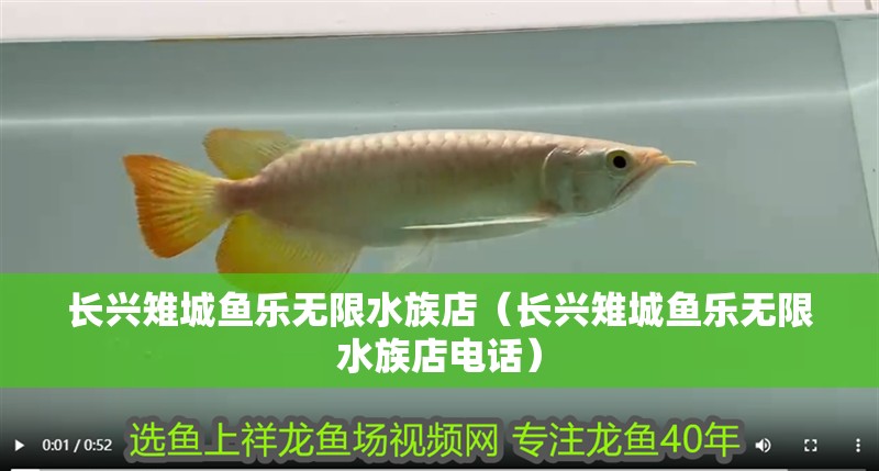 長興雉城魚樂無限水族店（長興雉城魚樂無限水族店電話）