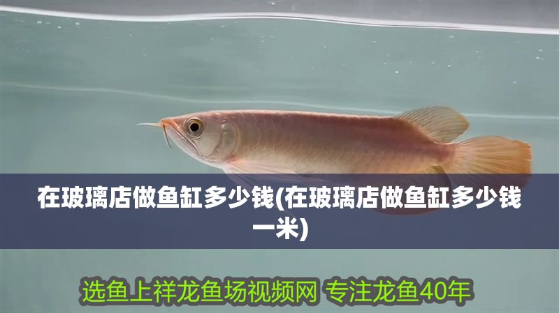 在玻璃店做魚缸多少錢(在玻璃店做魚缸多少錢一米) 在玻璃店做魚缸多少錢(在玻璃店做魚缸多少錢一米) 錦鯉魚百科 第1張
