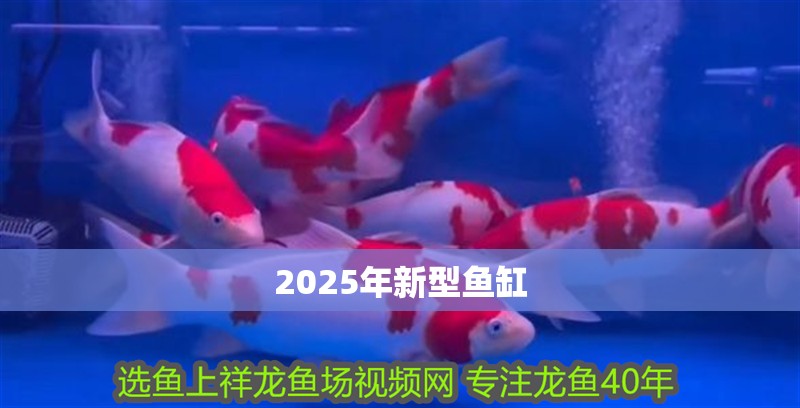 2025年新型魚(yú)缸