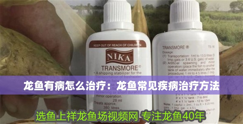 龍魚有病怎么治療：龍魚常見疾病治療方法