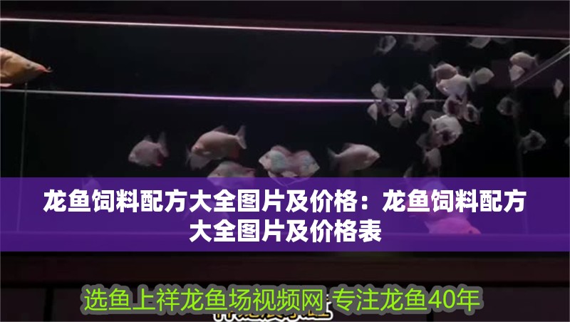 龍魚飼料配方大全圖片及價格：龍魚飼料配方大全圖片及價格表