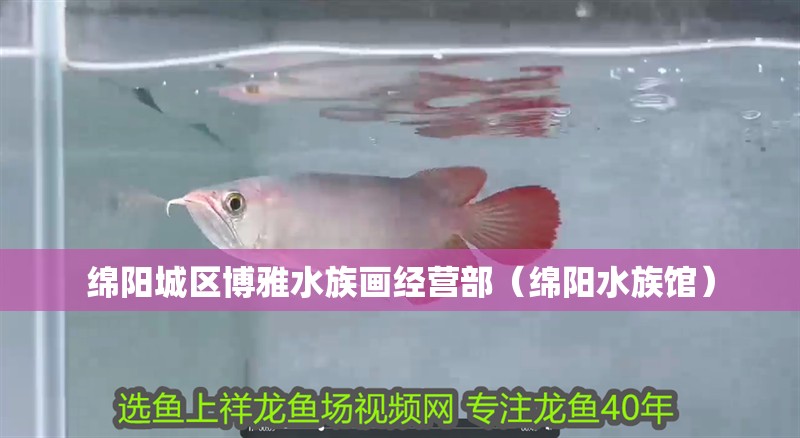 綿陽城區博雅水族畫經營部（綿陽水族館）