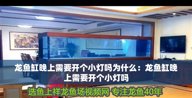 龍魚缸晚上需要開個小燈嗎為什么：龍魚缸晚上需要開個小燈嗎