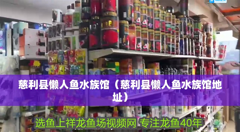慈利縣懶人魚水族館（慈利縣懶人魚水族館地址）