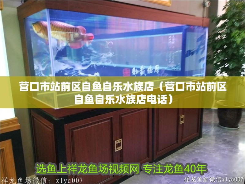 營口市站前區自魚自樂水族店（營口市站前區自魚自樂水族店電話）