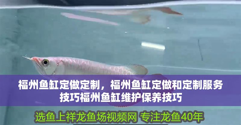 福州魚缸定做定制,福州魚缸定做和定制服務技巧福州魚缸維護保養技巧 魚缸百科 第1張 福州魚缸定做定制,福州魚缸定做和定制服務技巧福州魚缸維護保養技巧 福州魚缸定做定制,福州魚缸定做和定制服務技巧福州魚缸維護保養技巧 魚缸百科 第1張