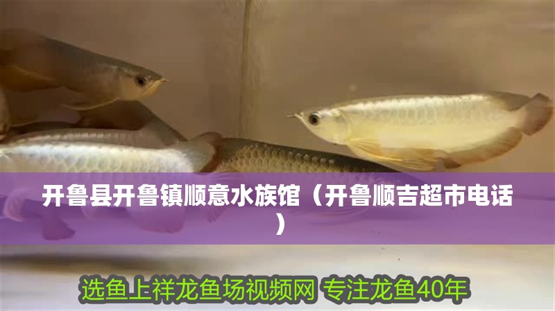 開魯縣開魯鎮(zhèn)順意水族館（開魯順吉超市電話）